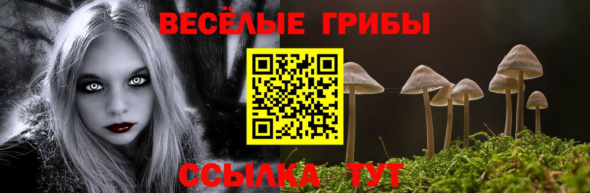 Псилоцибиновые грибы Magic Shrooms  Вход с VPN  где можно купить наркотик  Артёмовский 
